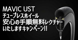 mavicustcampaign201906